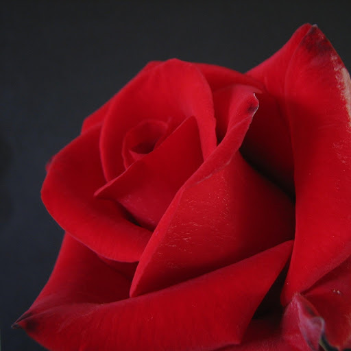 Hd-167709-ascw167709