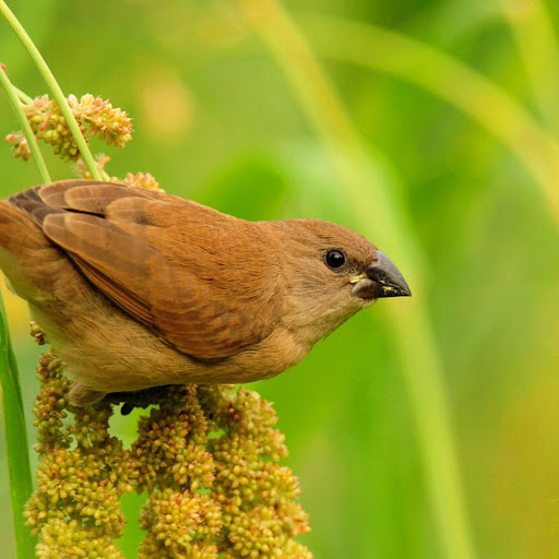 Hd-173876-ascw173876