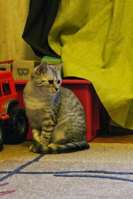 [IMG_1164%255B6%255D.jpg]