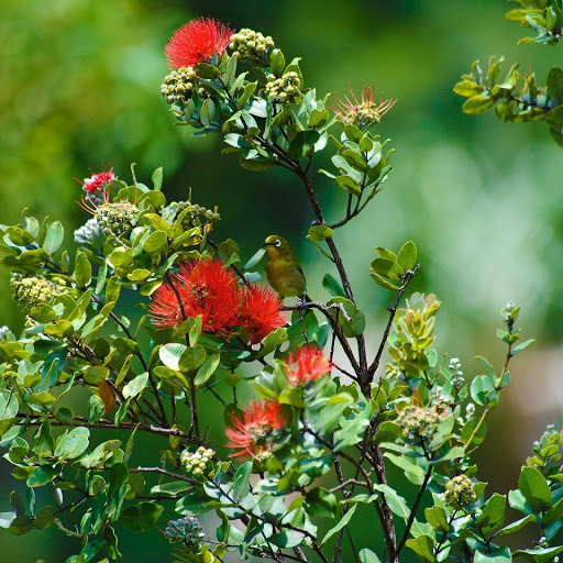 Hd-141845-ascw141845