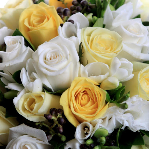 Hd-177942-ascw177942