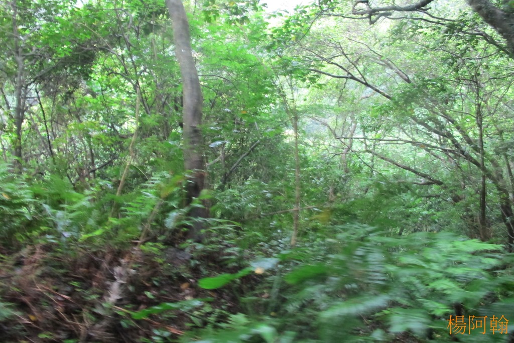 [0508-046---4.jpg]