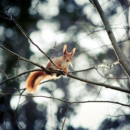 Hd-159725-ascw159725