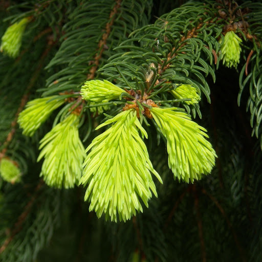 Hd-163591-ascw163591