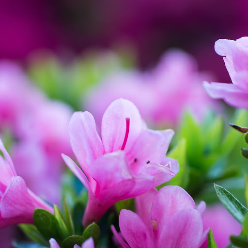 Hd-163776-ascw163776