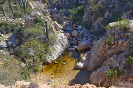 Montrose Pools on the Canyon Loop Trail at Catalina State Park Arizona