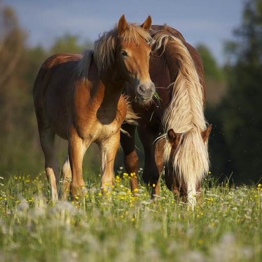 Hd-173498-ascw173498