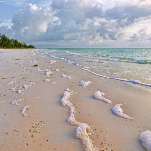 Hd-150315-ascw150315