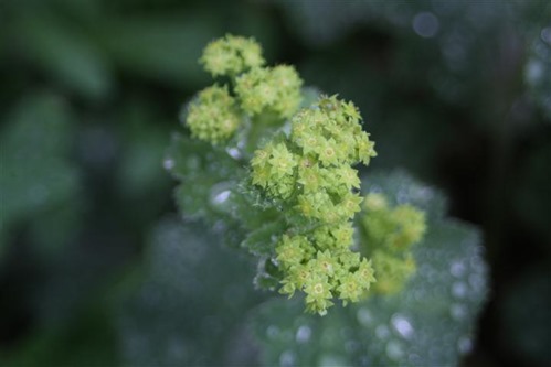 20100609 (4) (Small)