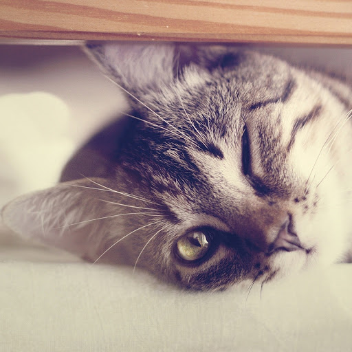 Hd-156159-ascw156159