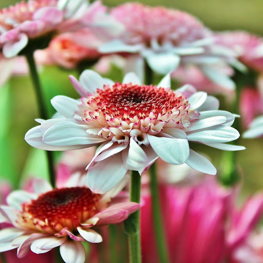 Hd-150374-ascw150374