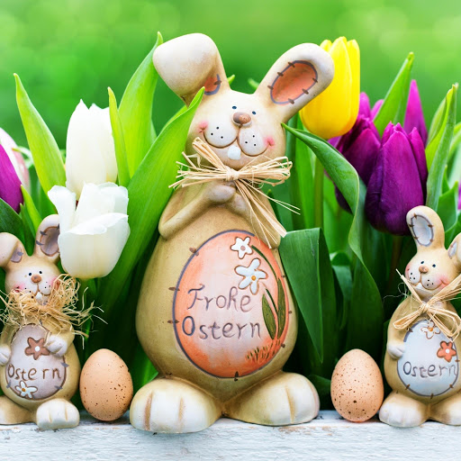 Hd-171657-ascw171657