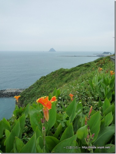 白米甕砲台-崖上的花朵