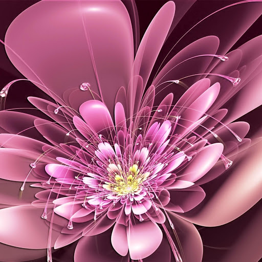 Hd-146284-ascw146284