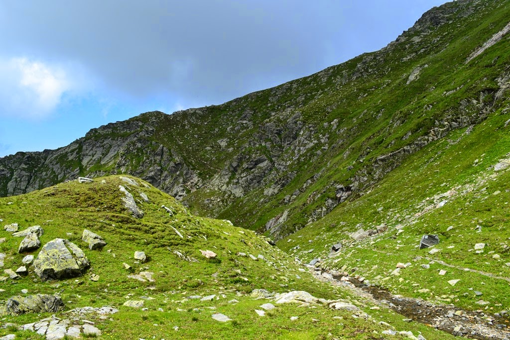 [DSC_18433.jpg]