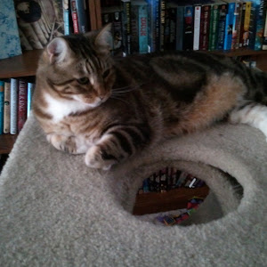 2013-01-25 12.59.40.jpg