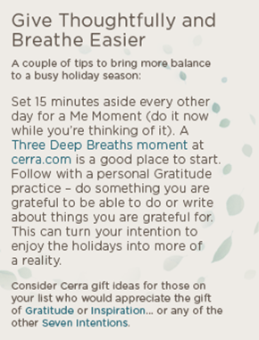 cerra_email_holiday_graphic2_260x330