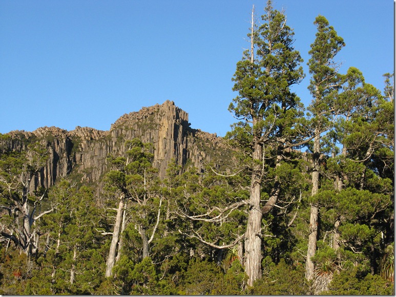 Northern bluffs of Olympus and Pencil Pines