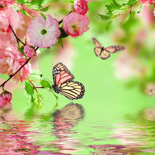 Hd-178835-ascw178835