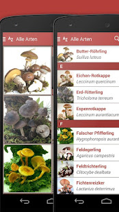 Pilze sammeln & bestimmen PRO(圖4)-速報App