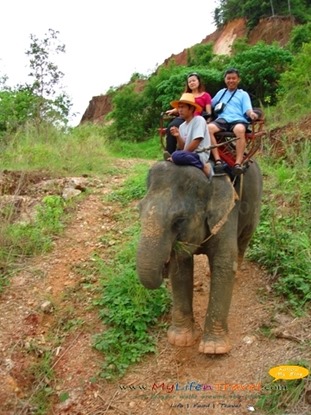 Phuket Rida an Elephant