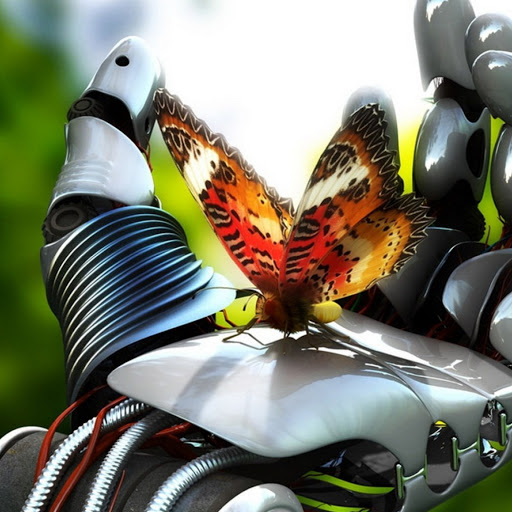 Hd-141900-ascw141900