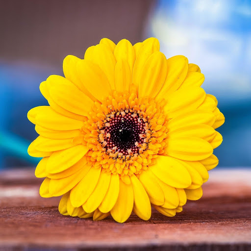 Hd-183772-ascw183772