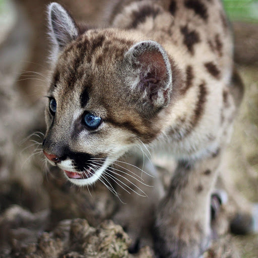 Hd-182062-ascw182062