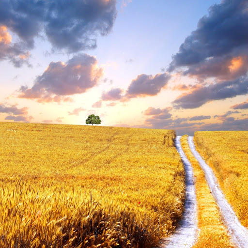 Hd-167544-ascw167544