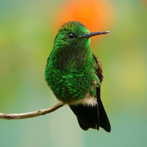 Hd-178058-ascw178058