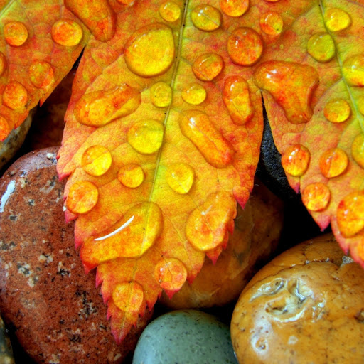 Hd-182768-ascw182768