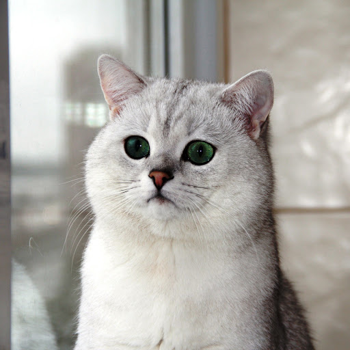 Hd-145920-ascw145920