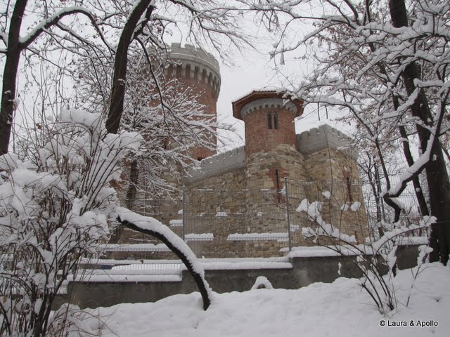 IMG_5174.JPG
