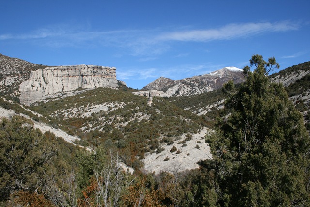 [IMG_7161%255B3%255D.jpg]