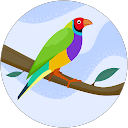Ashley
