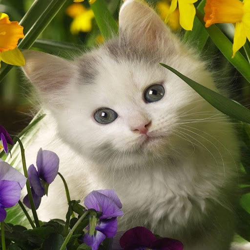 Hd-166163-ascw166163