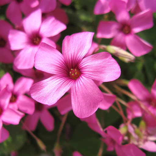 Hd-144751-ascw144751