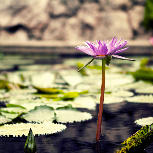 Hd-139554-ascw139554