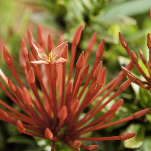 Hd-141802-ascw141802