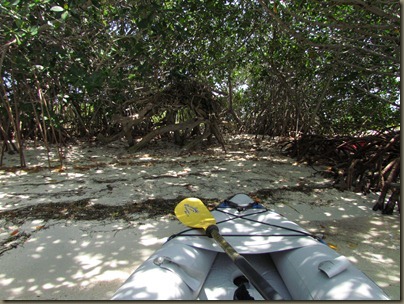 circumnavigating Sunshine Key Rv Park by kayak