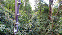 DSCF2138.JPG