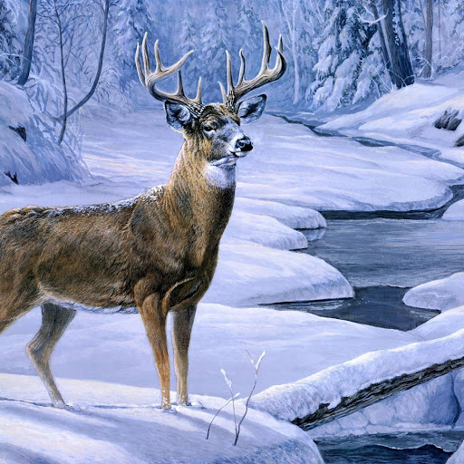 Hd-160978-ascw160978