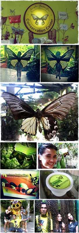 butterfly conservation center
