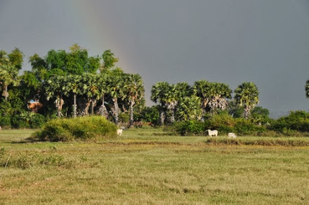DSC_0632.jpg DSC 0632