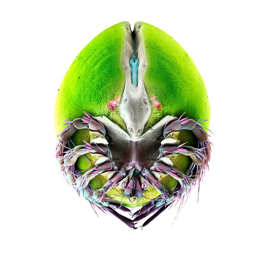 Hd-164449-ascw164449