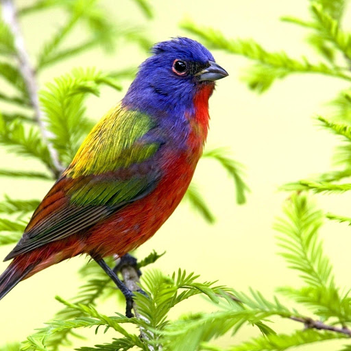 Hd-179073-ascw179073