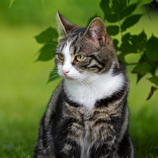 Hd-169524-ascw169524