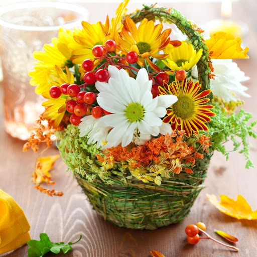 Hd-175613-ascw175613