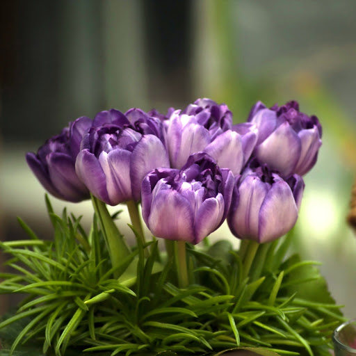 Hd-147468-ascw147468