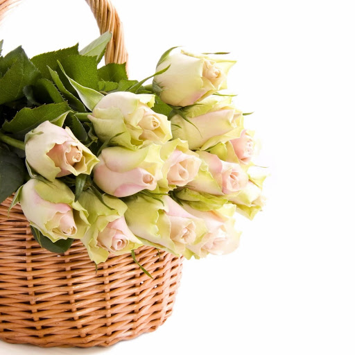 Hd-172095-ascw172095